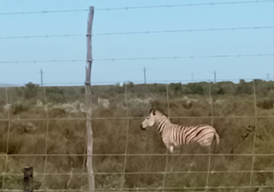 2 Bedroom Property for Sale in Hopefield Western Cape